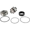 Set rulmenți și garnituri pentru carcasă lanț ARCTIC-CAT ALL BALLS 14-1007