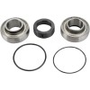 Set rulmenți și garnituri pentru carcasă lanț ARCTIC-CAT ALL BALLS 14-1008