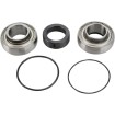 Set rulmenți și garnituri pentru carcasă lanț ARCTIC-CAT ALL BALLS 14-1008 Set rulmenți și garnituri pentru carcasă lanț ARCTIC-CAT ALL BALLS 14-1008 thumb