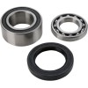 Set rulmenți și garnituri pentru carcasă lanț ARCTIC-CAT ALL BALLS 14-1010