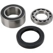 Set rulmenți și garnituri pentru carcasă lanț ARCTIC-CAT ALL BALLS 14-1010 Set rulmenți și garnituri pentru carcasă lanț ARCTIC-CAT ALL BALLS 14-1010 thumb