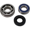 Set de rulmenți și garnituri pentru carcasă lanț YAMAHA ALL BALLS 14-1028 Set de rulmenți și garnituri pentru carcasă lanț YAMAHA ALL BALLS 14-1028 thumb