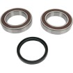 Set rulmenți și garnituri pentru cutie de lanț SKI-DOO ALL BALLS 14-1035 Set rulmenți și garnituri pentru cutie de lanț SKI-DOO ALL BALLS 14-1035 thumb