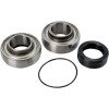 Set rulmenți și garnituri pentru carcasă lanț ARCTIC-CAT ALL BALLS 14-1046