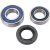 Set de rulmenți și etanșări pentru carcasă lanț YAMAHA ALL BALLS 14-1052