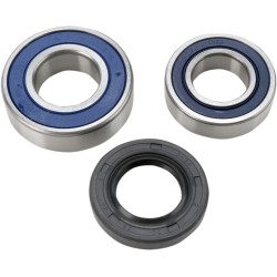 Set de rulmenți și etanșări pentru carcasă lanț YAMAHA ALL BALLS 14-1052