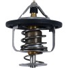 Termostat POLARIS ALL BALLS 16-3004