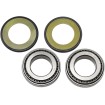 Set rulmenți și garnituri pentru tubul de direcție SUZUKI/TRIUMPH/YAMAHA ALL BALLS 22-1003 Set rulmenți și garnituri pentru tubul de direcție SUZUKI/TRIUMPH/YAMAHA ALL BALLS 22-1003 thumb
