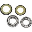 Set rulmenți și garnituri pentru coloană de direcție KAWASAKI ALL BALLS 22-1009-A Set rulmenți și garnituri pentru coloană de direcție KAWASAKI ALL BALLS 22-1009-A thumb