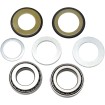 Set rulmenți și garnituri pentru țeavă de direcție HONDA ALL BALLS 22-1011 Set rulmenți și garnituri pentru țeavă de direcție HONDA ALL BALLS 22-1011 thumb