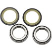 Set rulmenți și garnituri pentru coloană de direcție KAWASAKI ALL BALLS 22-1012 Set rulmenți și garnituri pentru coloană de direcție KAWASAKI ALL BALLS 22-1012 thumb