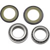 Set rulmenți și garnituri pentru coloană de direcție KAWASAKI ALL BALLS 22-1014