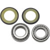 Set rulmenți și garnituri pentru coloană de direcție KAWASAKI/SUZUKI/TRIUMPH/YAMAHA ALL BALLS 22-1023-A