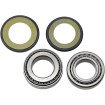 Set rulmenți și garnituri pentru coloană de direcție KAWASAKI/SUZUKI/TRIUMPH/YAMAHA ALL BALLS 22-1023-A Set rulmenți și garnituri pentru coloană de direcție KAWASAKI/SUZUKI/TRIUMPH/YAMAHA ALL BALLS 22-1023-A thumb