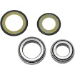 Set rulmenți și garnituri pentru tubul de direcție HONDA ALL BALLS 22-1037 Set rulmenți și garnituri pentru tubul de direcție HONDA ALL BALLS 22-1037 thumb