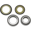 Set rulmenți și garnituri pentru coloană de direcție KAWASAKI ALL BALLS 22-1038 Set rulmenți și garnituri pentru coloană de direcție KAWASAKI ALL BALLS 22-1038 thumb