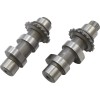 Set arbore cu came 31H cu lanț ANDREWS PRODUCTS 216331