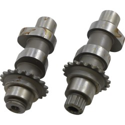 Ax cu came distribuitor pe lanț pentru conversie TWIN CAM 21N ANDREWS PRODUCTS 216821 Ax cu came distribuitor pe lanț pentru conversie TWIN CAM 21N ANDREWS PRODUCTS 216821
