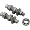 Set ax cu came TW21 acționat de lanț ANDREWS PRODUCTS 288121