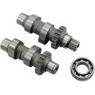 Set ax cu came TW21 acționat de lanț ANDREWS PRODUCTS 288121 Set ax cu came TW21 acționat de lanț ANDREWS PRODUCTS 288121 thumb
