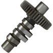 Arbore cu came 1 ANDREWS PRODUCTS 212130 Arbore cu came 1 ANDREWS PRODUCTS 212130 thumb