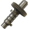 Arbore cu came EV3 ANDREWS PRODUCTS 291130 Arbore cu came EV3 ANDREWS PRODUCTS 291130 thumb