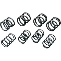 Arcuri de supapă cu ridicare înaltă ANDREWS PRODUCTS 272110