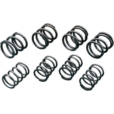 Arcuri de supapă cu ridicare înaltă ANDREWS PRODUCTS 272110 Arcuri de supapă cu ridicare înaltă ANDREWS PRODUCTS 272110
