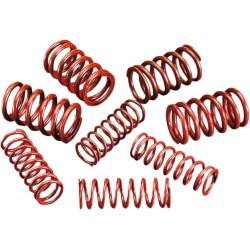 Arcuri de supape cu ridicare înaltă ANDREWS PRODUCTS 294150 Arcuri de supape cu ridicare înaltă ANDREWS PRODUCTS 294150