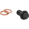 Șurub banjo M10x1.0 negru 12-pt f/r MC touring ARLEN NESS 300-828