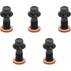 Șurub banjo 5-pk 12 puncte 3/8-24 negru f/r mc 00-07 touring ARLEN NESS 300-855 Șurub banjo 5-pk 12 puncte 3/8-24 negru f/r mc 00-07 touring ARLEN NESS 300-855