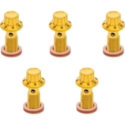 Șurub banjo 5-PK 12 puncte 3/8-24 aur F/R MC 00-07 touring ARLEN NESS 300-856 Șurub banjo 5-PK 12 puncte 3/8-24 aur F/R MC 00-07 touring ARLEN NESS 300-856