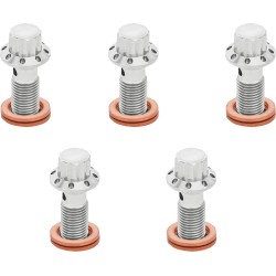 Șurub banjo 5-pk 12 puncte M10x1.0 lustruit F/R MC TOURing ARLEN NESS 300-857
