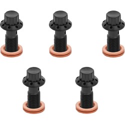 Șurub Banjo 5-PK 12 puncte M10x1.0 negru F/R MC touring ARLEN NESS 300-858 Șurub Banjo 5-PK 12 puncte M10x1.0 negru F/R MC touring ARLEN NESS 300-858