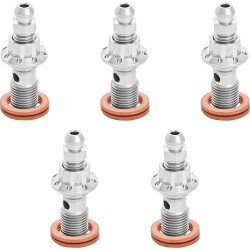 Șurub banjo bleeder 5-pk 12-pt 10mm fr caliper polished tour ARLEN NESS 300-866