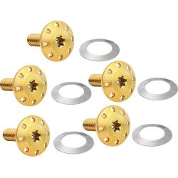 Set de șuruburi pentru rotor față HOLESHOT 5 bucăți montare spiță, auriu ARLEN NESS 300-916 Set de șuruburi pentru rotor față HOLESHOT 5 bucăți montare spiță, auriu ARLEN NESS 300-916