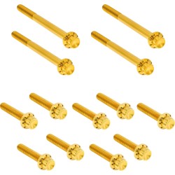Set hardware titaniu 12pt capac primar auriu ARLEN NESS 300-931 Set hardware titaniu 12pt capac primar auriu ARLEN NESS 300-931