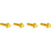 Set de elemente de fixare TITANIUM 12PT TRANS TOP CVR GOLD ARLEN NESS 300-979 Set de elemente de fixare TITANIUM 12PT TRANS TOP CVR GOLD ARLEN NESS 300-979 thumb