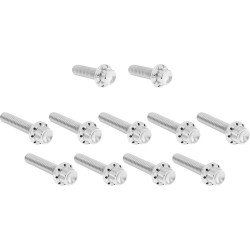 Set de șuruburi - capac ax cu came/capac puncte - 12 puncte - lustruit ARLEN NESS 300-980