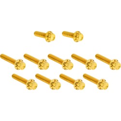 Set de șuruburi - capac ax cu came/capac punct - 12 puncte - auriu ARLEN NESS 300-982