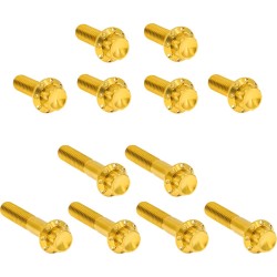 Set elemente de fixare titaniu 12pt rocker box gold ARLEN NESS 300-994 Set elemente de fixare titaniu 12pt rocker box gold ARLEN NESS 300-994