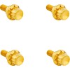 Set de șuruburi titanium 12pt pentru parbriz gold ARLEN NESS 300-811