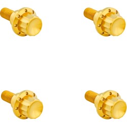 Set de șuruburi titanium 12pt pentru parbriz gold ARLEN NESS 300-811 Set de șuruburi titanium 12pt pentru parbriz gold ARLEN NESS 300-811