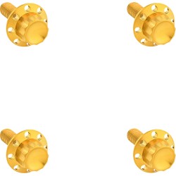 Set șuruburi titan 12PT pentru parbriz aur ARLEN NESS 300-841 Set șuruburi titan 12PT pentru parbriz aur ARLEN NESS 300-841