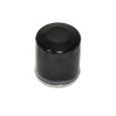 Filtru de ulei ATHENA FFP008 Filtru de ulei ATHENA FFP008 thumb
