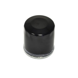 Filtru de ulei ATHENA FFP008 Filtru de ulei ATHENA FFP008