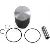 Set piston forjat 66,34mm ATHENA S4F06640018A