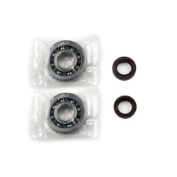 Set de recondiționare arbore cotit SKF ATHENA P400480444001