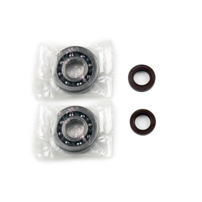 Set de recondiționare arbore cotit SKF ATHENA P400480444001