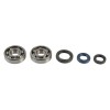 Set de reparație arbore cotit KOYO ATHENA P400210444007